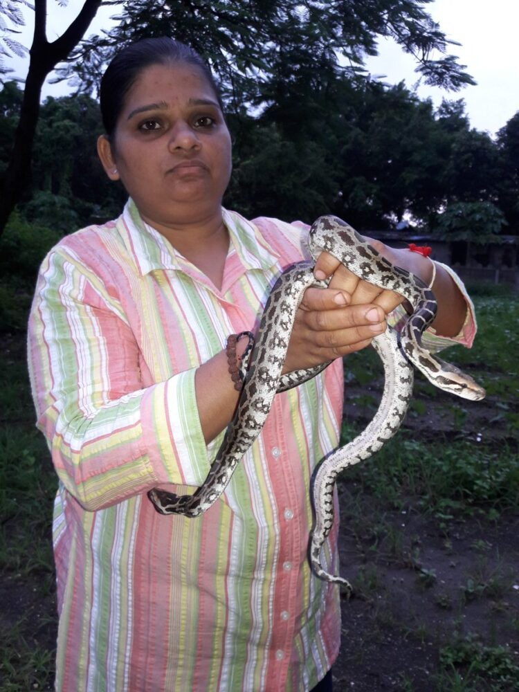 ભાવના પટેલ